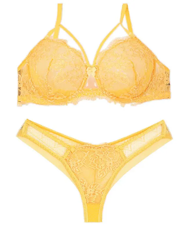 ست شورت و سوتین توری فنردار Barone بارون گلدوزی کد 1312119